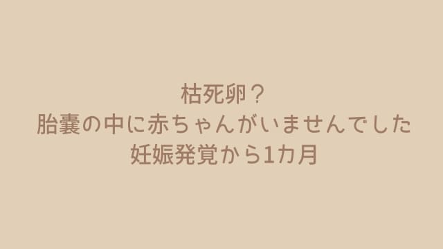 枯死卵?胎嚢の中に赤ちゃんがいませんでした。妊娠発覚から1カ月。