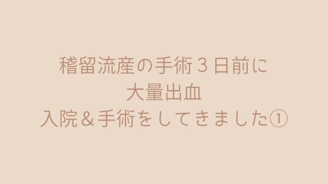 稽留流産の手術3日前に大量出血し入院&手術をしてきました①