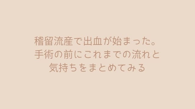 稽留流産で出血が始まった&手術前にこれまでの流れと気持ちをまとめてみる