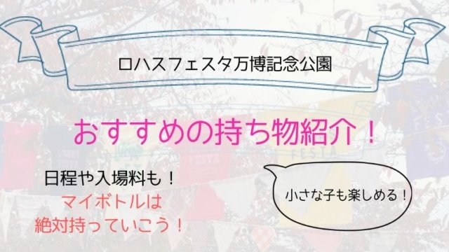 ロハスフェスタ万博記念公園おすすめ持ち物