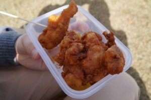 ハスフェスタ万博の持ち物