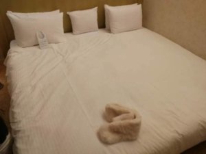 オリエンタルホテル東京ベイのべビーズスイートのベッドが広い!