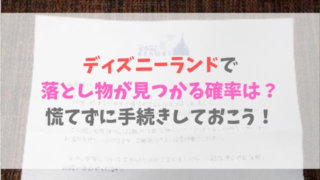 ディズニーランドで 落とし物が見つかる確率は? 慌てずに手続きしておこう!