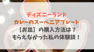 ディズニーランドのカレーのスーベニア【お皿】の購入方法は?もらえなかった私の体験談!
