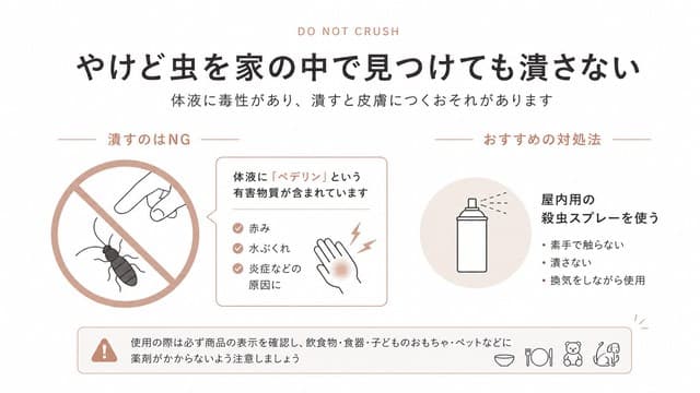 やけど虫を家で見つけても潰さない