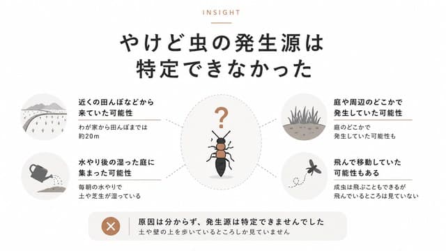 やけど虫の発生源は特定できなかった
