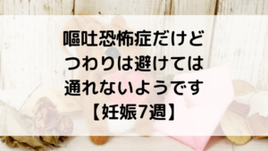 嘔吐恐怖症だけどつわりは避けては通れないようです【妊娠7週】