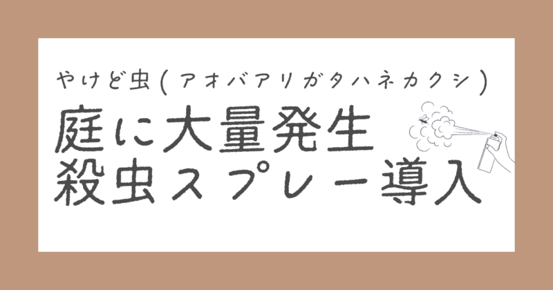 やけど虫の駆除方法|庭に大量発生した