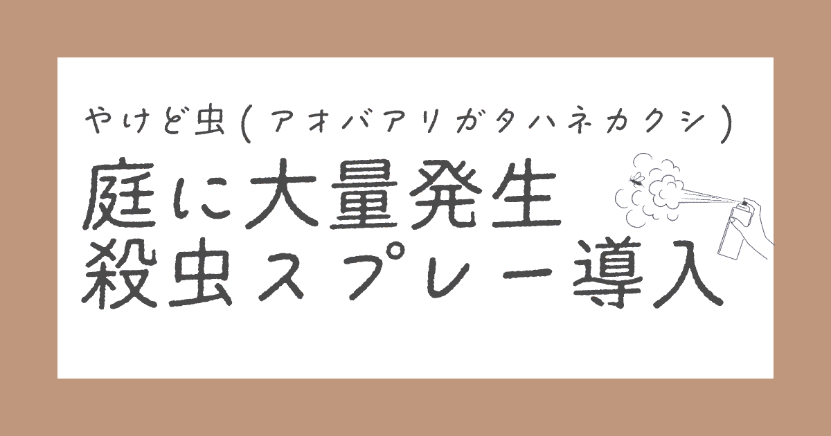 やけど虫の駆除方法|庭に大量発生した