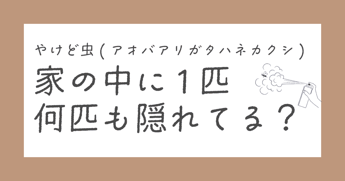 やけど虫は家の中に1匹いたら何匹もいるの?どこから入るか調べてみた